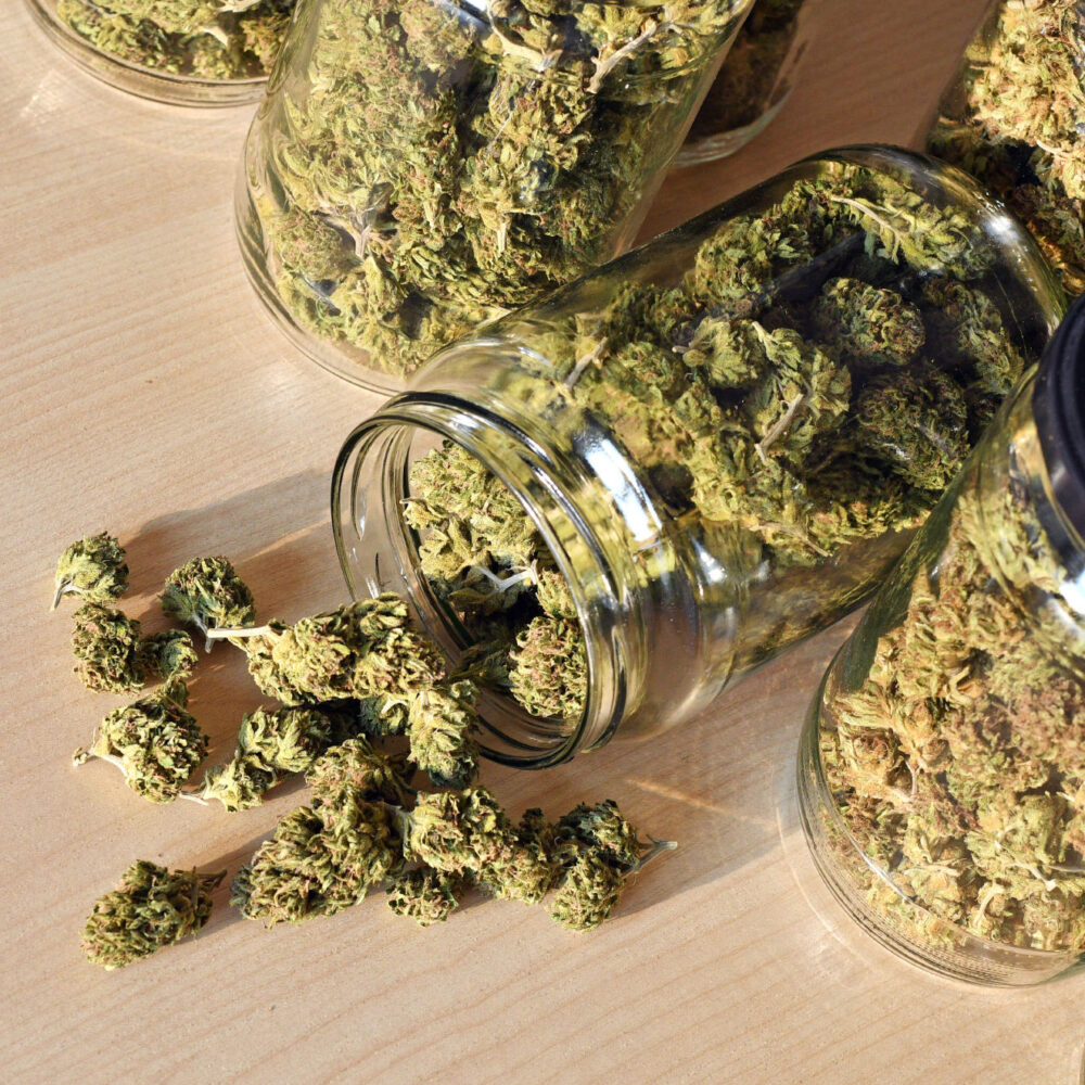 Salmon River OG